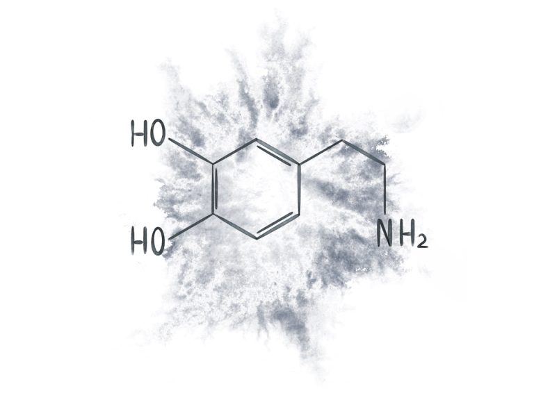 Dopamina. Neurotransmisor del placer.