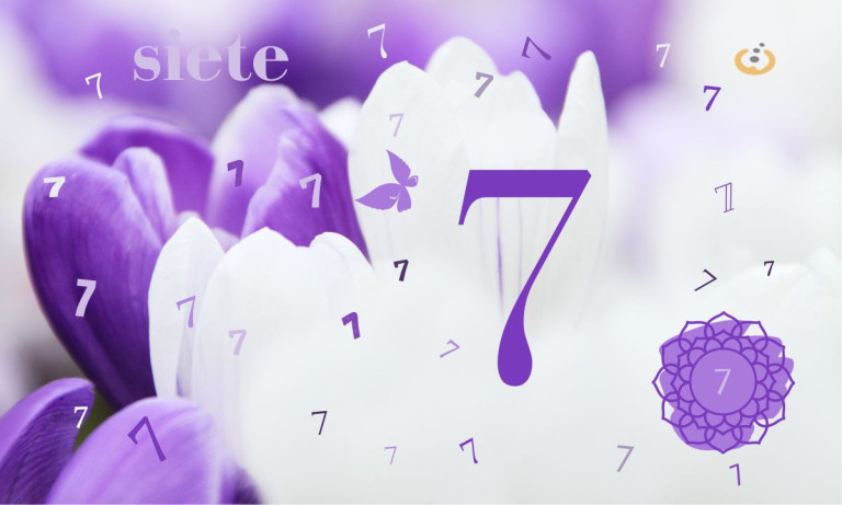 Númerología, el número de vida 7 y sus características.